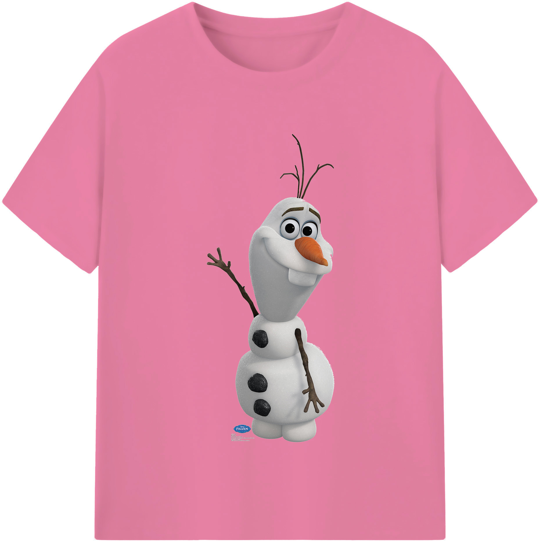 （画像用） アナと雪の女王 アンナ エルサ Frozen Anna Elsa 綿100％半袖Tシャツ（フロントプリント）